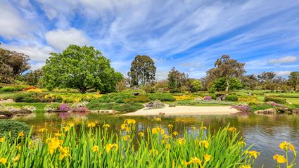 Japanese Garden - Cowra 